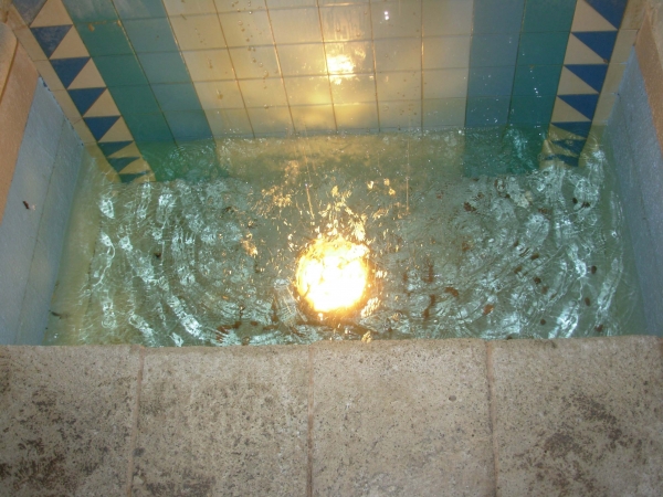 Creation of Taking a Dip: Step 5